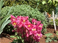 cac613fc-20170428 Ri pakujac r.jpg